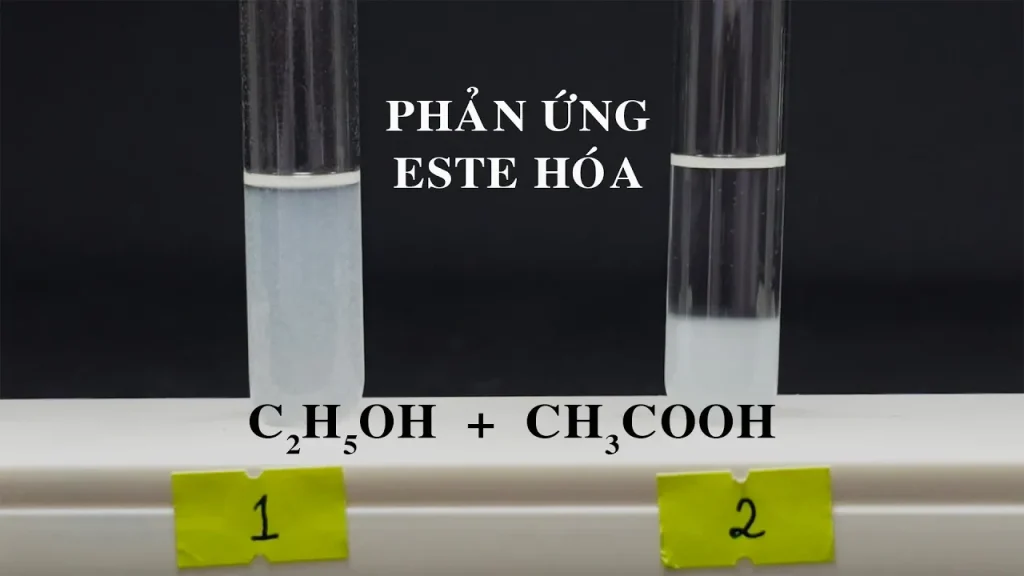 Thí nghiệm phản ứng ester hoá. Điều chế ester. Điều chế ethyl acetate. C2H5OH + CH3COOH